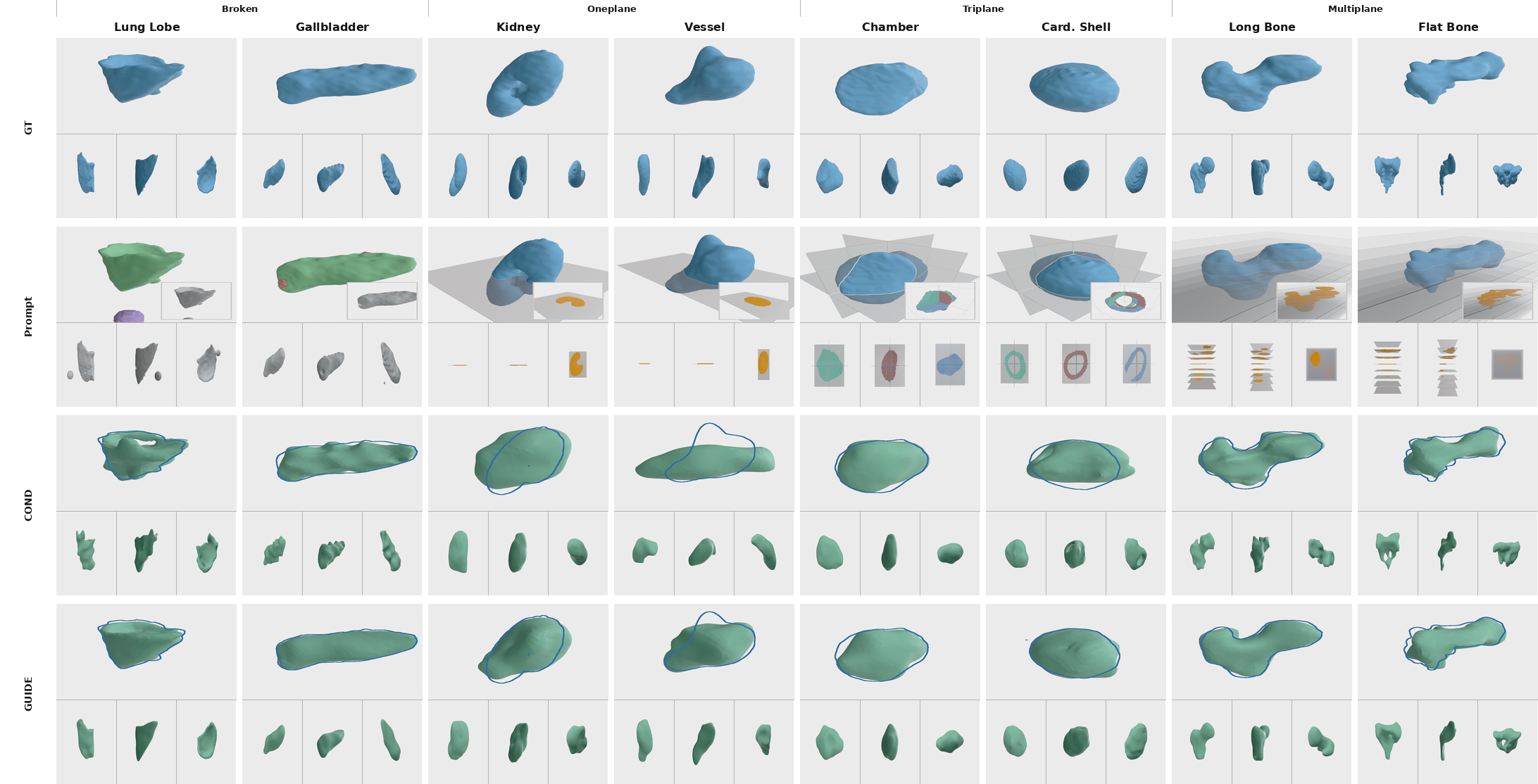 Multi-organ shape completion gallery: lung lobe, gallbladder, kidney, vessel, chamber, cardiac shell, long bone, flat bone.